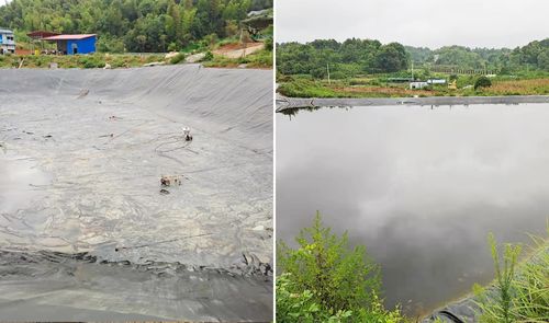 ultimo caso aziendale circa Progetto di prevenzione delle fuoriuscite di acqua nei bacini ittici