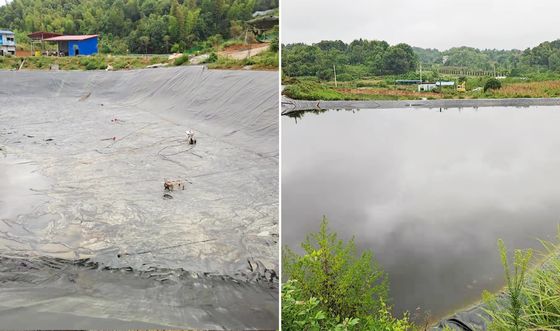 Geomembrana liscia in HDPE ad alte prestazioni con allungamento a rottura del 700%, eccellente resistenza chimica e larghezza personalizzabile per l'acquacoltura