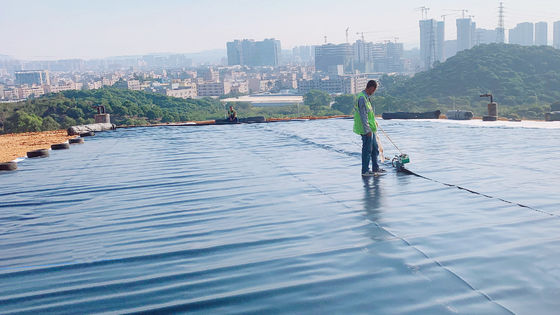 Geomembrana liscia in HDPE resistente agli UV per l'anti-invecchiamento e la protezione duratura in qualsiasi ambiente