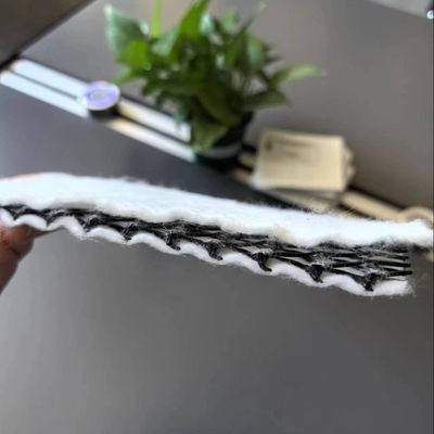Filtro e drenaggio efficienti dell'acqua con Geonet e rete di drenaggio composta tridimensionale