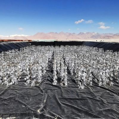 Geomembrana liscia in HDPE resistente agli acidi e alle alcali, resistente alle lacrime per il progetto di ingegneria anti infiltrazione