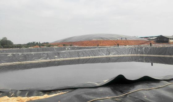 Geomembrana liscia HDPE anti infiltrazione per il progetto agricolo Rivestimenti di stagni di pesce Larghezza 1m-9m Lunghezza 30-100m Spessore> 0,5mm
