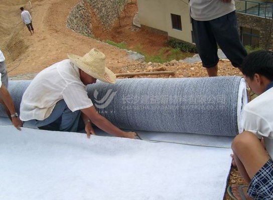 Bentonite Gcl Geosintetico Liner di argilla per le esigenze impermeabili e impermeabili