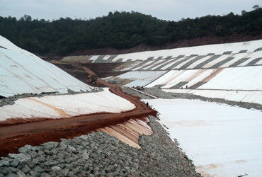 Geonet tri-dimensionale composto 200 g/m2 per sistema di drenaggio e protezione