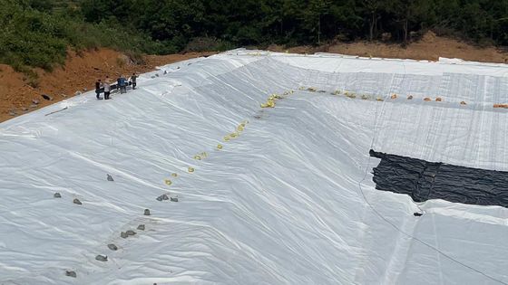 Drenaggio ottimale Rete di drenaggio composta 3D Larghezza 2m-6m Resistenza alla trazione ≥16kN/m per la gestione delle acque superficiali e sotterranee