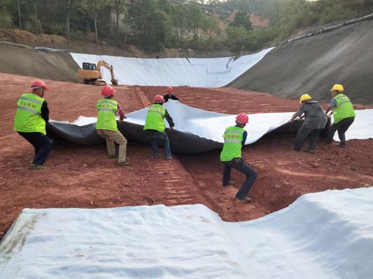 Drenaggio ottimale Rete di drenaggio composta 3D Larghezza 2m-6m Resistenza alla trazione ≥16kN/m per la gestione delle acque superficiali e sotterranee