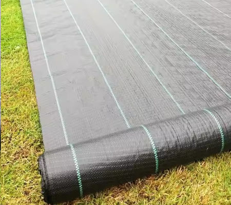 Eccellente filtrazione e drenaggio Geotessile in polipropilene nero tessuto, larghezza 2-6m, realizzato con fibre sintetiche industriali ad alta resistenza