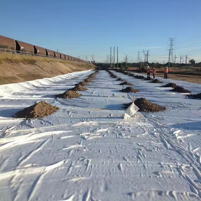 Tessuto di protezione rinforzato durevole con geotessile nero tessuto, larghezza 2-6m