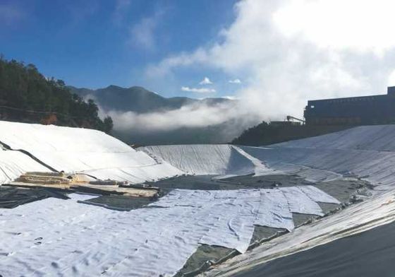 Geosintetico Argilloso Ecologico Non Tossico Durevole per Progetti di Conservazione dell'Acqua e Paesaggistici