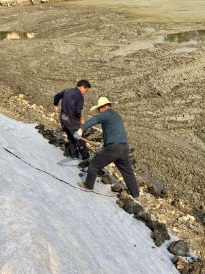 Cement infuso Geosintetico Copertura (CCB) distribuire. idratare. indurire.