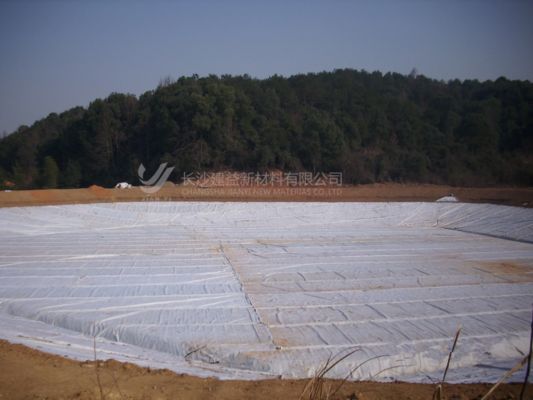 Geotessile a fibra corta: la soluzione ingegneristica versatile ed economica