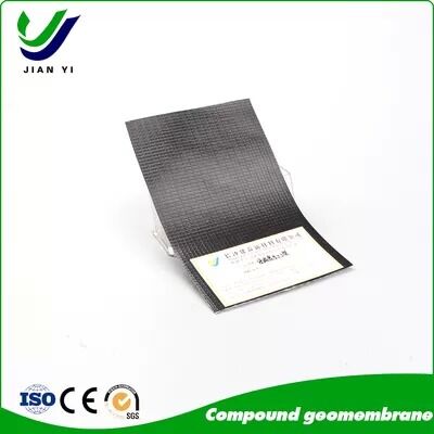 Membrana geocomposita in HDPE spessa da 0,2 mm a 1,0 mm con configurazioni 1G1M e 2G1M per progetti anti-infiltrazione