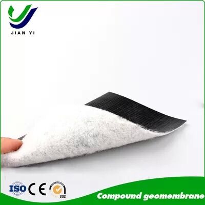 Membrana geocomposita in HDPE spessa da 0,2 mm a 1,0 mm con configurazioni 1G1M e 2G1M per progetti anti-infiltrazione
